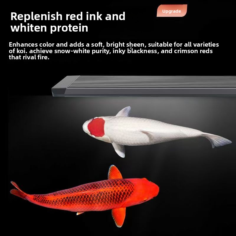 Aquarium Marine Clearwater - 해수어항용 LED 수족관 조명, 해양 조명