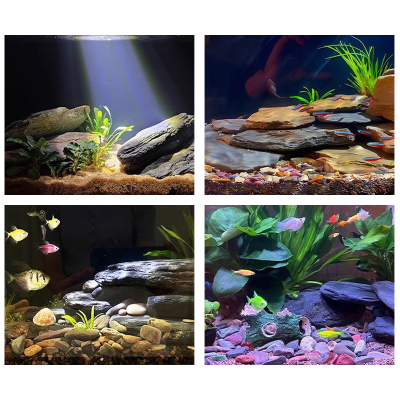 500/1000g 어항 조경석 키트 슬레이트 석재 테라 - Aquarium Marine Tank 리뷰 및 가격