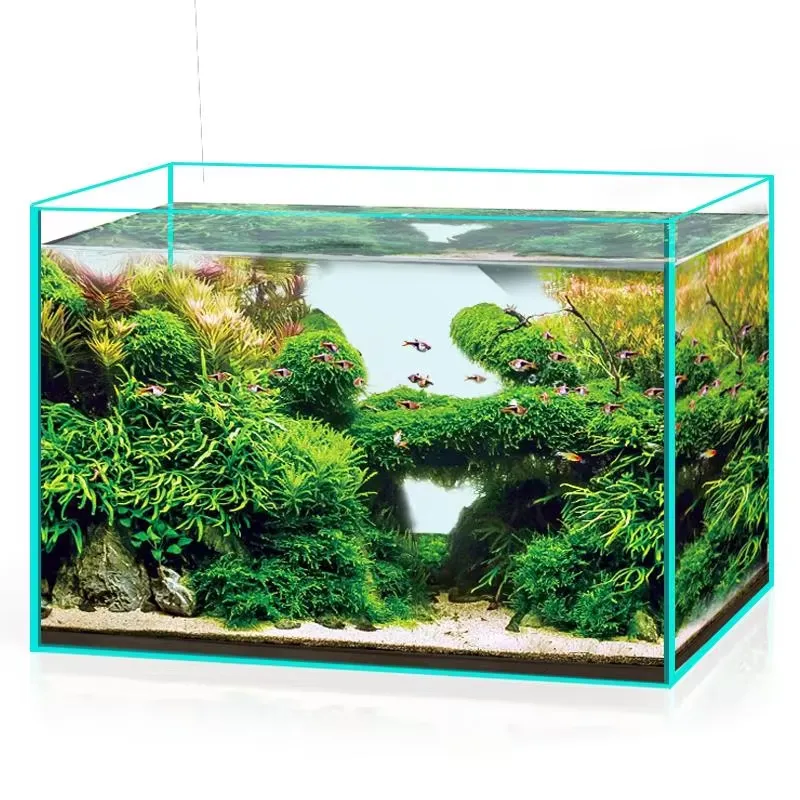 초투명 유리 수족관, 모든 크기 맞춤 제작 가능, 담수 - Aquarium Marine Clearwater 리뷰 및 가격