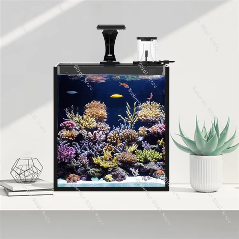 초투명 유리 미니 해수 해양 수족관 (해양 나노 산호초 - Aquarium Marine Clearwater 리뷰 및 가격