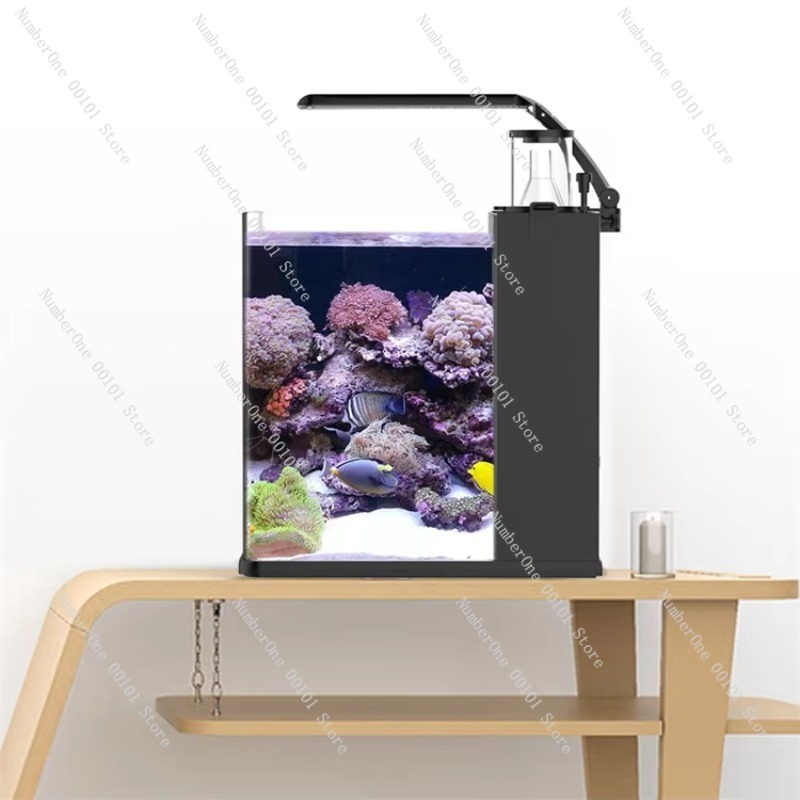 초투명 유리 미니 해수 해양 수족관 (해양 나노 산호초 - Aquarium Marine Clearwater 리뷰 및 가격