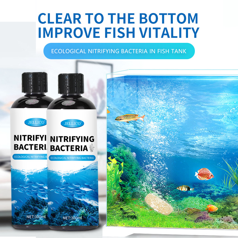 300ml 질산화 박테리아 수족관 물 정화기 물고기 배 - Aquarium Marine Clearwater 리뷰 및 가격