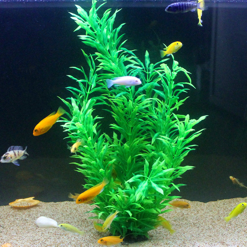 50CM 인조 어항 희귀 식물 수족관 가짜 대나무 잎  - Aquarium Marine Tank 리뷰 및 가격