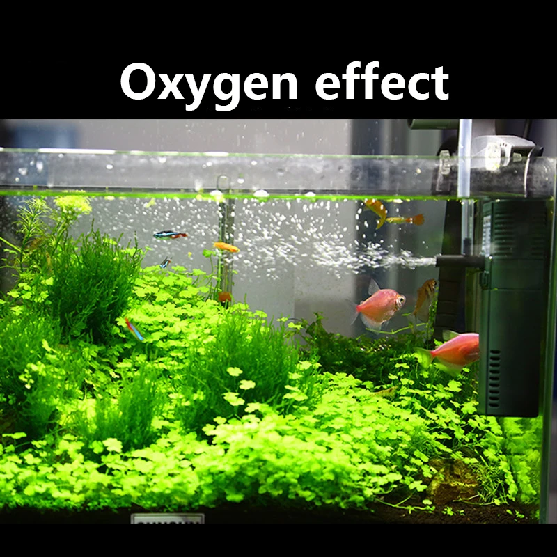 SUNSUN 미니 나노 수중 산소 펌프, 물고기 거북이 - Marine Aquarium Reactors 리뷰 및 가격