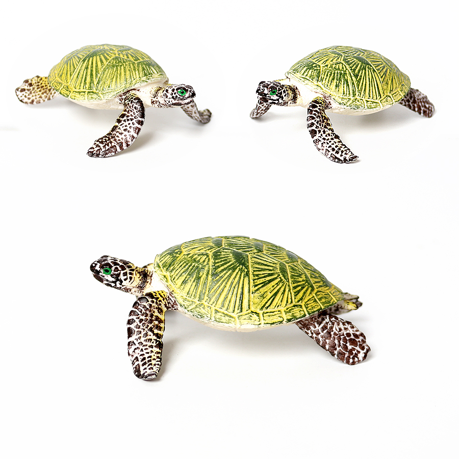현실적인 미니어처 해양 생물 바다 거북이 모델, 해양  - Aquarium Marine Tank 리뷰 및 가격